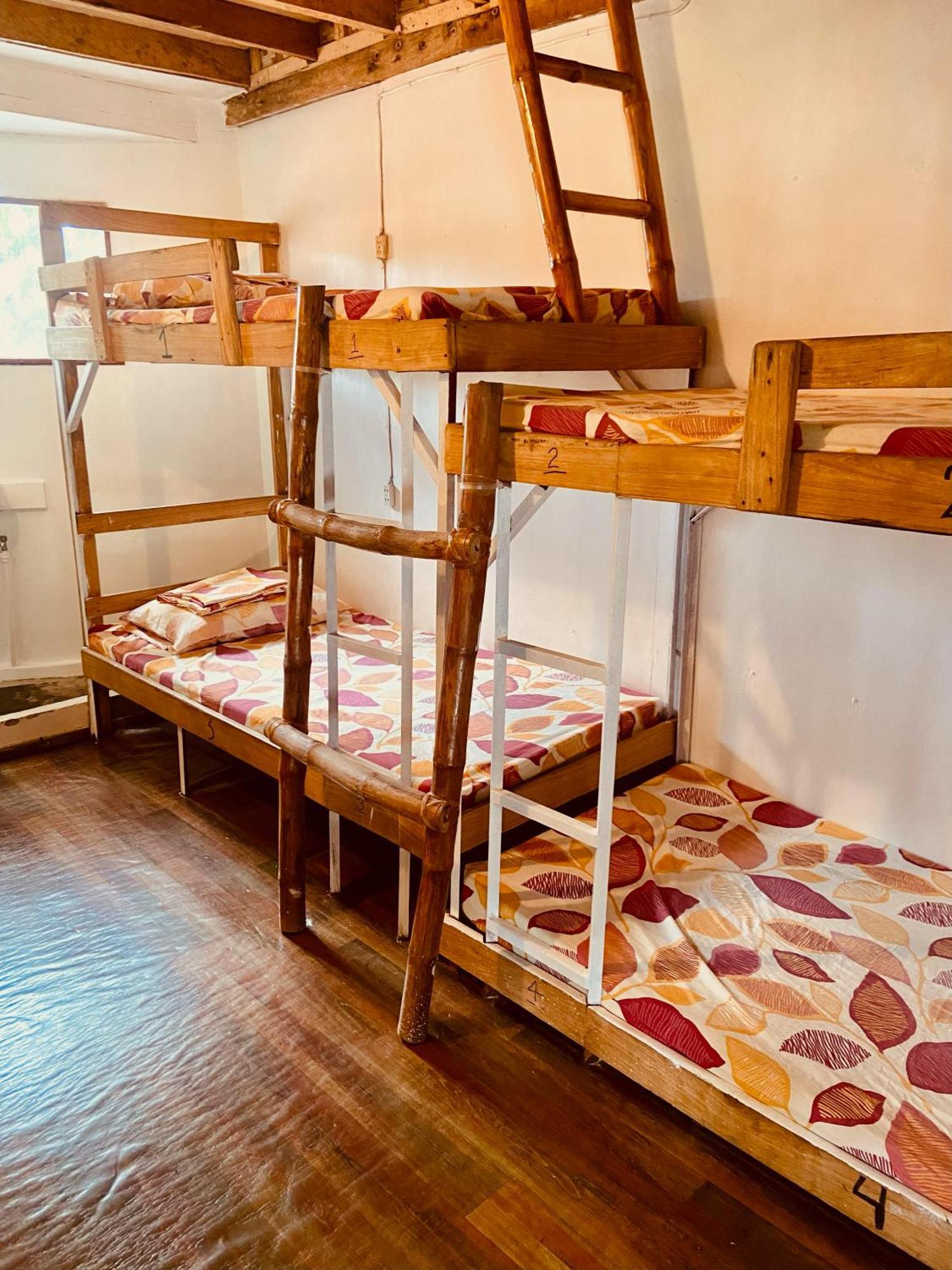 موالبوال Babu Backpackers Inn المظهر الخارجي الصورة